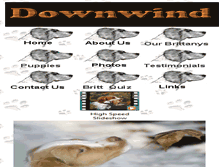 Tablet Screenshot of downwindkennels.com